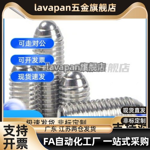 BMS/BMSL8/BPW3 BPW4、BSZF球头柱塞BPW5 nsjl6 8 nszl10/12/16