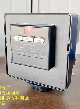 富莱克5000SE锅炉软水多路阀