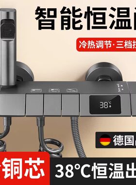淋浴恒温全铜花洒套装