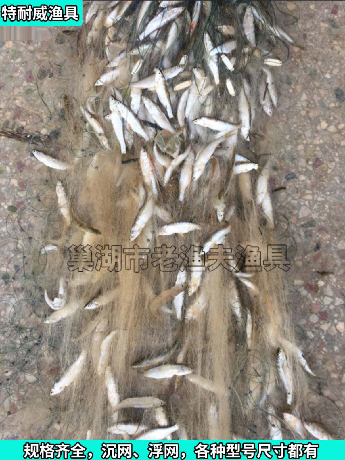 小鱼网白条网马口棒花丝网挂网沉网浮网粘网单层捕鱼网沾网底漂网