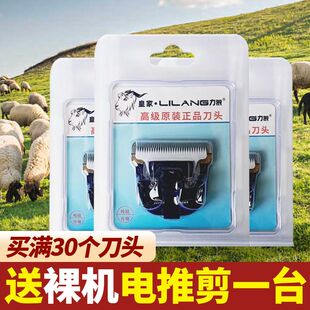 狼霸剃绒山羊电推剪原装刀头力狼利力原装刀头推羊毛通用陶瓷刀