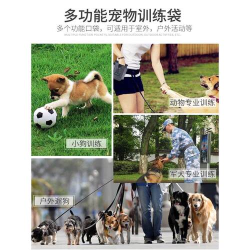 dog training supplies equipment snack bag golden训狗用品装备