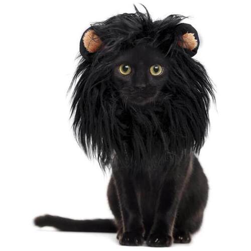Pet Dog Cat Lovely Lion Headdress Kitten Halloween Cosplay C