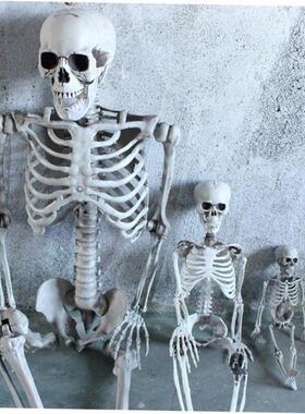 Halloween Skeleton Ornament Haunted house decoration horror