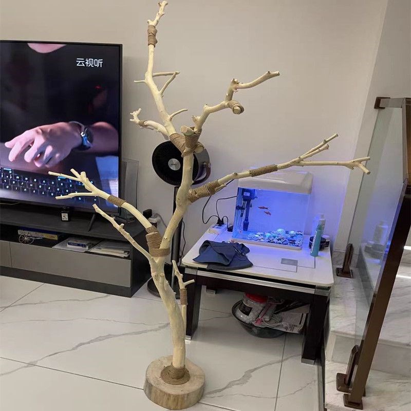 干树枝干枝艺术枯枝枯木树干天然去皮本色摆件装饰造型衣架子立式