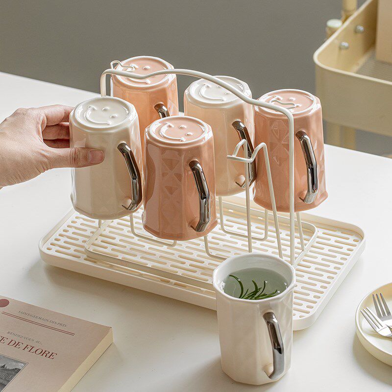 轻奢高级感水杯家用高档茶具水具套装客厅招待客人杯子茶杯带把手