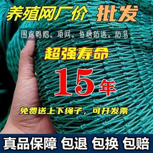(好评前三名)养殖网养鸡网防鸟网拦鸡网网片护栏网顶网鱼护渔网