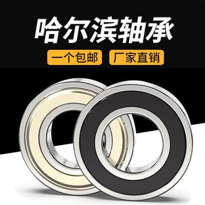 轴承6200 6201 6202 6203 6204 6205 6206 6207 6208 6209ZZ 2RS