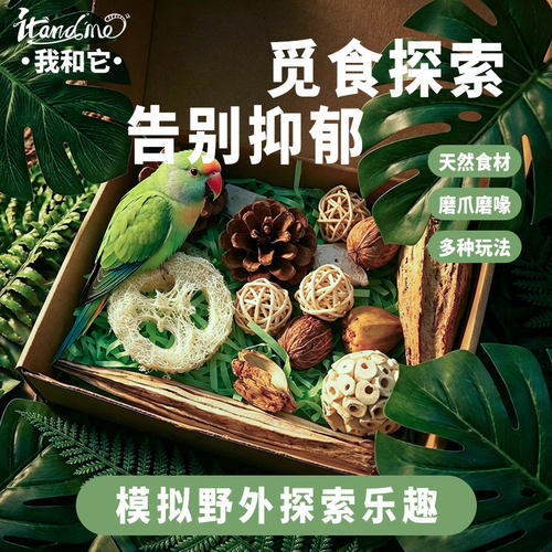 我和它啃咬玩具盒plus自嗨磨牙耐咬解闷发泄鹦鹉鸟玩具啃咬玩乐盒