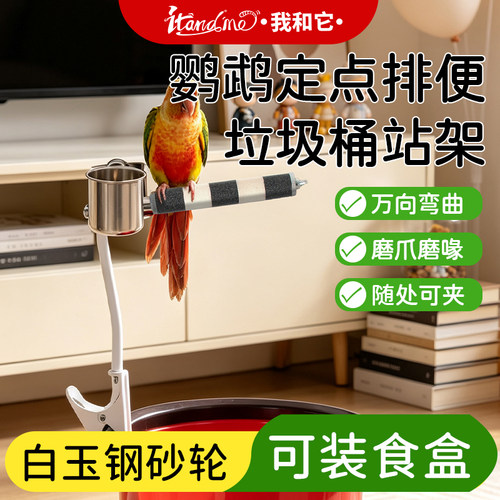 鹦鹉定点排便站架训练专用鸟用垃圾桶站杆玄凤牡丹小太阳马桶厕所