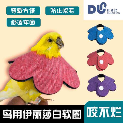 我和它牡丹鹦鹉鸟用软圈防咬毛