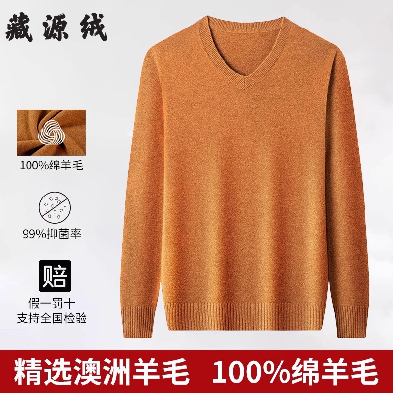 2024冬季新款羊毛衫男100纯羊毛