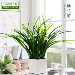 喜莱卡仿真花假花塑料花套装仿真绿植室内茶几餐桌电视柜摆设装饰