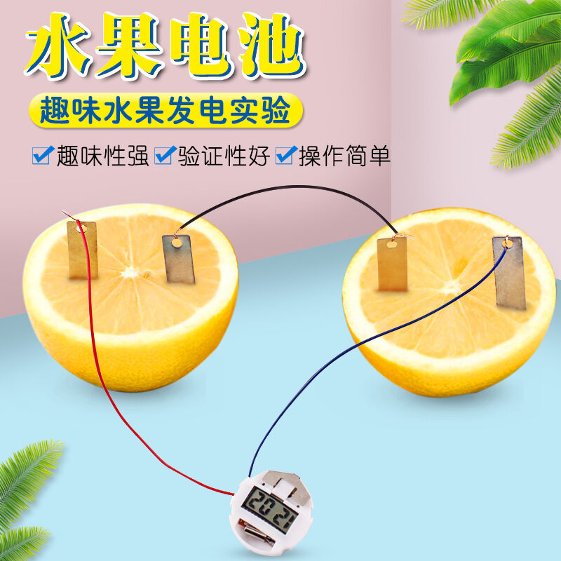 可普(kepu)水果电池水果发电科学实验器材物理原电池材料教学磁