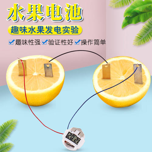 可普（kepu）水果电池水果发电科学实验器材物理原电池材料教学磁