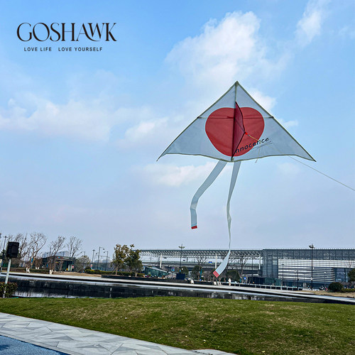 GOSHAWK原创设计风筝大眼睛苹果微风易飞便携户外露营儿童大人
