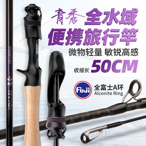 钓迷青秀便携旅行竿全富士A环五节微物路亚竿马口白条杆短节鱼竿