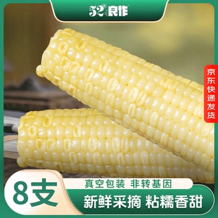 52度良作白甜糯玉米25年新玉米8条真空装包装袋甜糯苞米鲜糯玉米