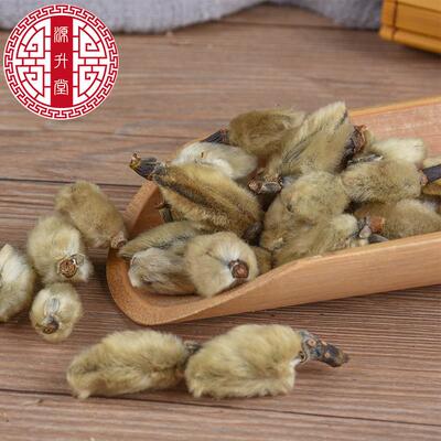 辛夷花玉兰木笔500克货真