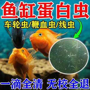 鱼缸除蛋白虫水缸观赏鱼除寄生虫白虫线虫杀菌专用药敌百虫清除剂