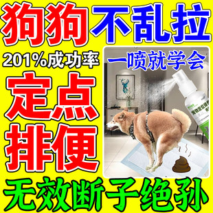 狗狗定点上厕所神器防狗乱拉屎尿狗大小便排便诱导剂尿垫定点训练