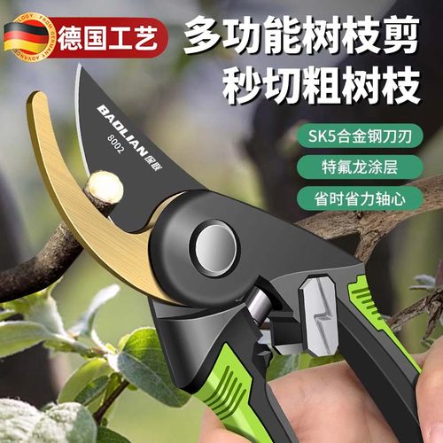 修枝剪园艺剪剪树枝果树专用剪刀