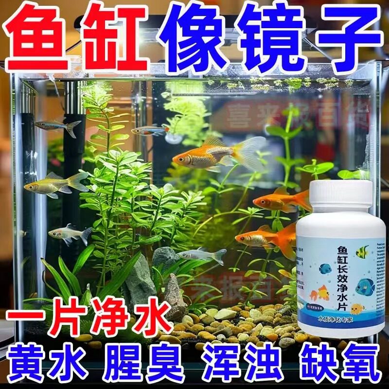 鱼缸净水片净水剂澄清澈净化水质除臭去腥鱼缸水族箱鱼池清水培鱼