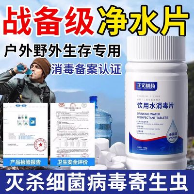饮用水净水片专用户外野外消毒片