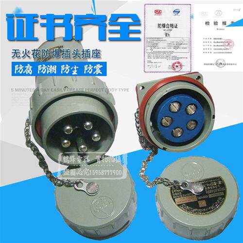 5芯 无火花防爆插头插座连接器15A 25A 32A 60A 100A 150A 200A