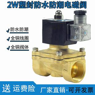 室外防水防雾防潮电磁阀水阀开关阀220VDC24V气阀排水DC12V4分6分