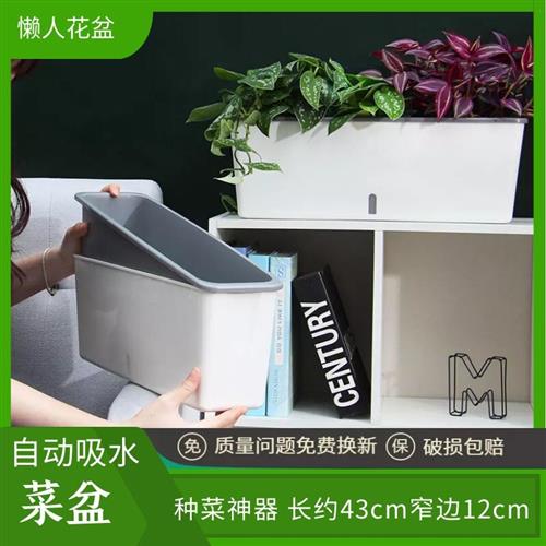 种菜神器懒人花盆栽蔬菜种植箱家庭阳台塑料自动吸水长方形免浇水