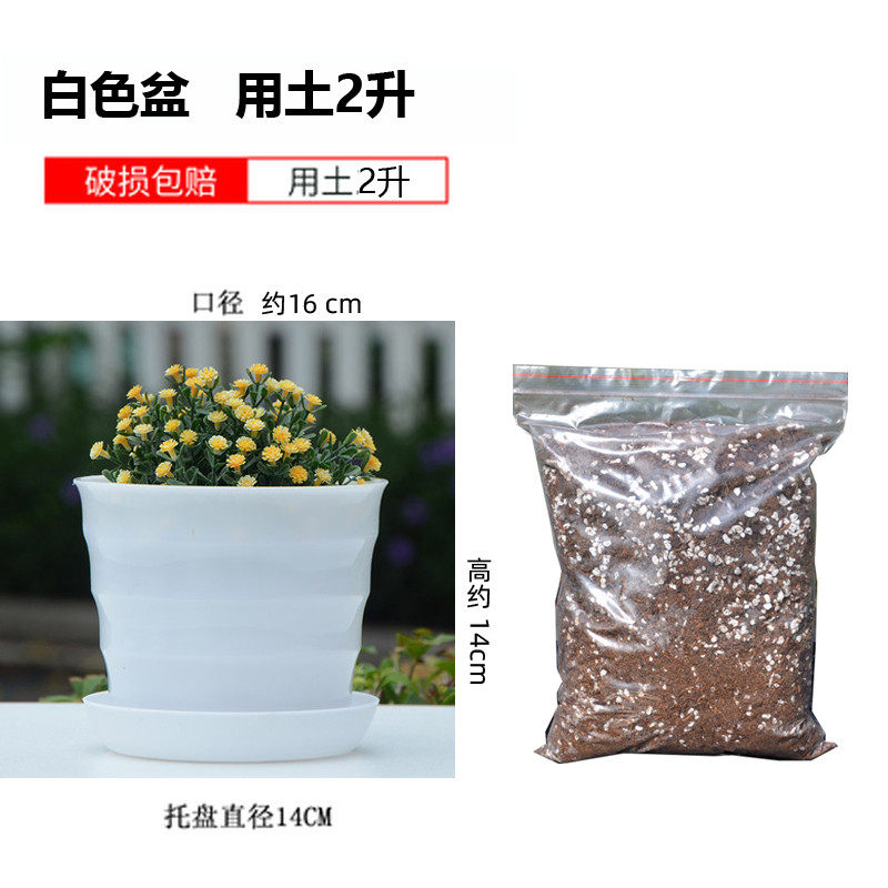 加仑盆加营养土带土泥土塑料花盆子家用种植盆栽多肉绿萝月季容器