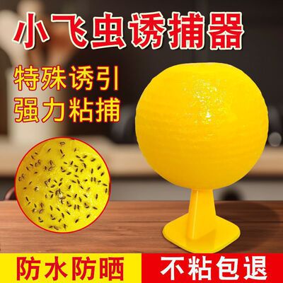 粘虫球粘小飞虫神器厨房家用强力粘苍蝇贴粘蚊子球粘蝇纸粘虫球