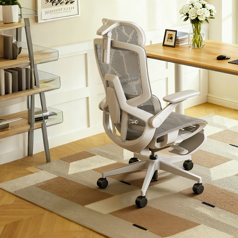 乐瓦ENOVA智慧家护腰人体工学椅