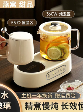德国双养生壶多功能家用办公室煮茶器小型玻璃花茶迷你恒温水杯