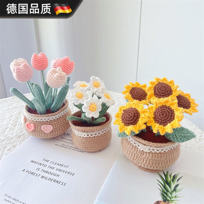 德国进口手工编织DIY毛线小盆栽