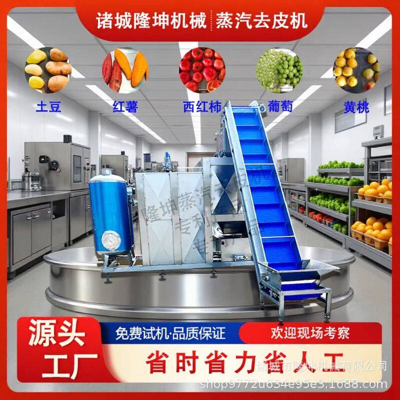 全自动西红柿蒸汽去皮机 多功能番茄蒸汽烫皮机 圣女果加工脱皮机