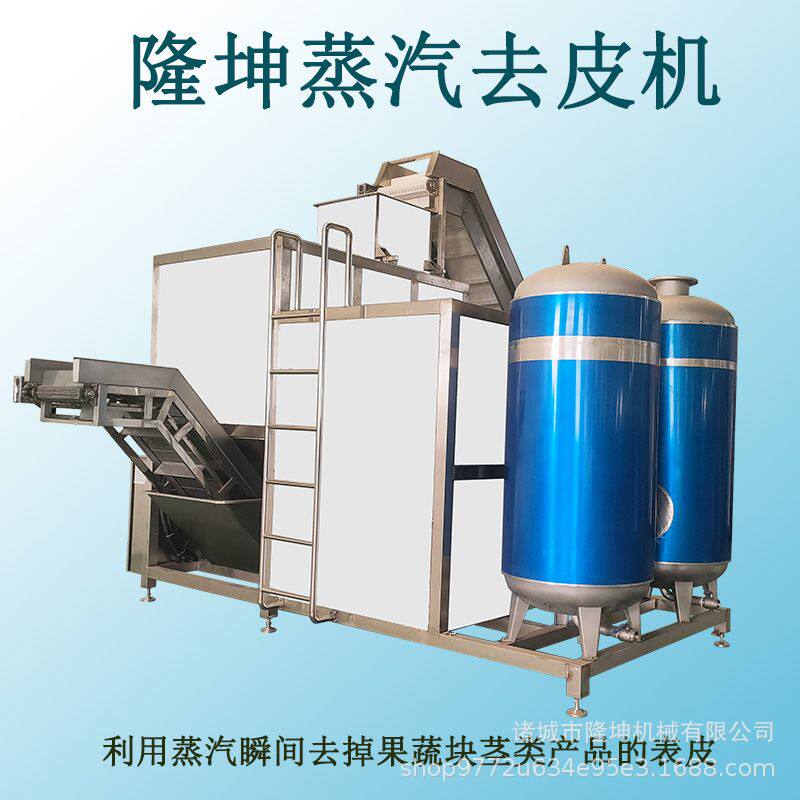 支持定制桃子蒸汽去皮机 多功能全自动蒸汽爆皮机 隆坤蒸汽脱皮机