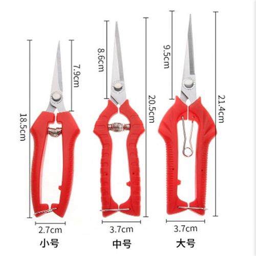 园艺花剪葡萄修枝专用锯齿剪刀水果林摘果采果花剪花艺花椒修果剪