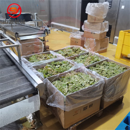 新款香酥翠叶油炸机 天妇罗桑叶油炸生产线 桑叶酥油炸设备