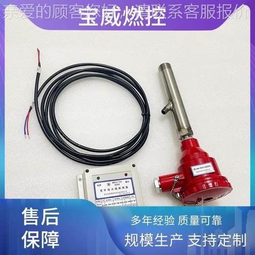 宝威火燃220v升温控炉紫外线火焰BWFZJ-1检测器VU检