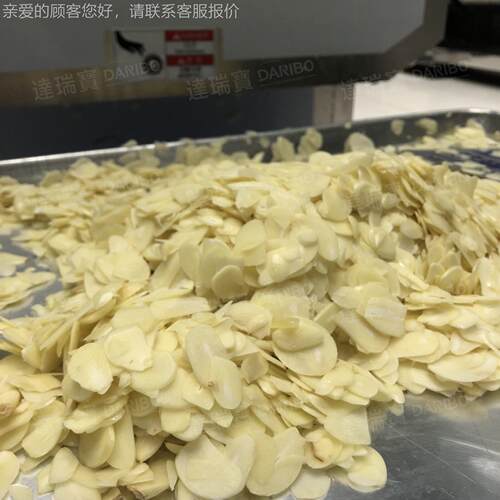 W家供应商用厂片大型不锈钢苹果切片切丁机 功能多IRG切菜机生姜