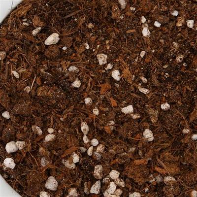多肉土专用颗粒营养土植物进口泥炭种植土铺面石叶插纯土包邮