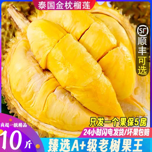 顺丰正宗泰国金枕榴莲一个果保房