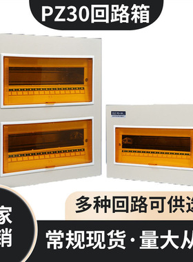 PZ30回路配电箱工程用明装家用空气开关箱暗装强电箱国标电箱总控