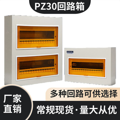 PZ30回路配电箱工程用明装家用空气开关箱暗装强电箱国标电箱总控