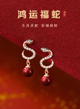 红色朱砂灵蛇耳钉女2026新款轻奢高级感耳饰独特漂亮好看超火耳环