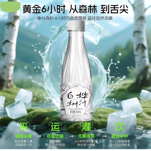 新鲜日期白桦树汁苏打水现发囤货