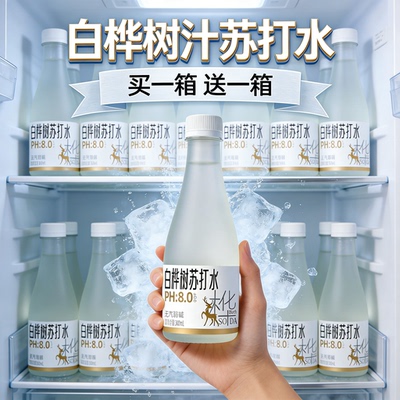 无气苏打水添加白桦树汁天然甘甜健身聚餐常备水