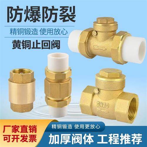 卧式ppr止回阀热熔双活接铜单向阀4分6分1寸20 25 32立式水管配件